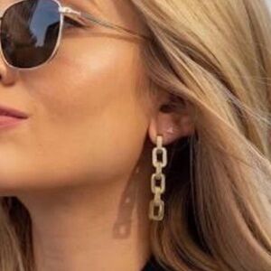 NWT Eddie Borgo Supra Chain Link Earrings